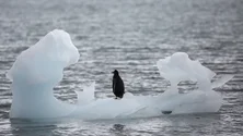 Imagem de Marcadores-chave das alterações climáticas bateram novos recordes em 2021