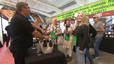 Imagem de Feira trouxe bons vinhos à Terceira (Vídeo)