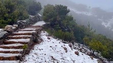 Imagem de Primeira neve do ano (vídeo)