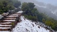 Imagem de Primeira neve do ano (vídeo)