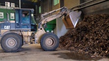 Imagem de Madeira considerada a região do país com melhor desempenho ambiental (Vídeo)