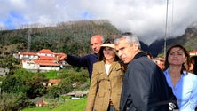 Imagem de Governo limpou mais 10 hectares de terreno para prevenir incêndios e aluviões
