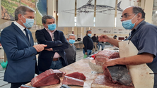 Imagem de Pescado descarregado na Região aumenta 13%