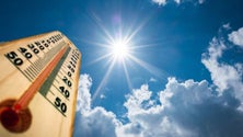 Imagem de Madeira sob aviso amarelo por causa do tempo quente