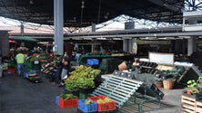 Imagem de Mercado da Graça: Bolieiro lamenta demissão de Maria José Duarte (Vídeo)