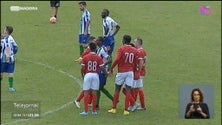 Imagem de Salgueiros vence em Machico (vídeo)