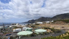 Imagem de Foram constituídas 346 sociedades na Madeira no segundo trimestre de 2022