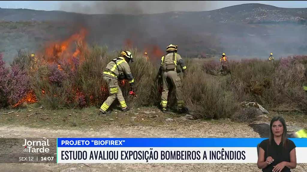 Estudo. Bombeiros têm risco acrescido de desenvolverem cancro