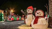 Imagem de Porto Santo vai ter iluminações de Natal e fogo de artifício na passagem de ano (Vídeo)