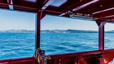 Imagem de Navio procura 100 pessoas desaparecidas