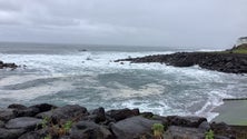 Imagem de Madeira sob aviso amarelo