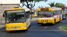 Imagem de Sindicato Nacional dos Motoristas admite processar a Horários do Funchal