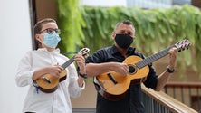 Imagem de Parlamento recebe cultura
