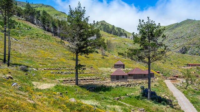 Parque Ecológico do Funchal permanece encerrado devido ao calor