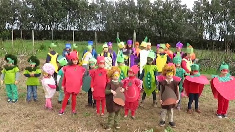 Imagem de Heróis da fruta