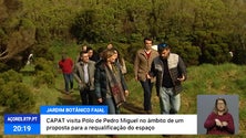 Imagem de PSD quer requalificação do pólo do Jardim Botânico em Pedro Miguel [Vídeo]