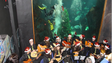 Porto Moniz exibe árvore de Natal subaquática