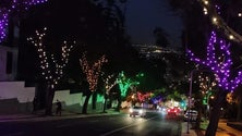Imagem de Eduardo Jesus convicto que iluminações de Natal vão acender a 1 de dezembro (áudio)