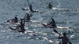 Imagem de 118 atletas participaram no NELO 510 CUP