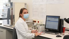 Imagem de Madeira reforça o laboratório de microbiologia (vídeo)