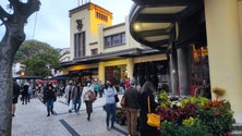 Imagem de 80% dos funchalenses estão satisfeitos com limpeza da cidade (áudio)