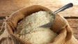 Imagem de Parlamento da Madeira dá parecer favorável às novas normas de comercialização de arroz