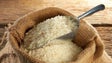 Parlamento da Madeira dá parecer favorável às novas normas de comercialização de arroz