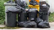 Imagem de Cada português coloca no lixo 2 Kg de resíduos contaminados por ano