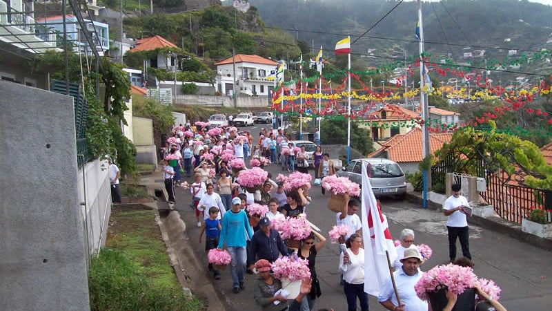 Imagem de Campanário mantém tradição das açucenas