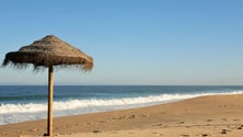 Imagem de Covid-19: Estudantes criam app com dados sobre lotação de 580 praias