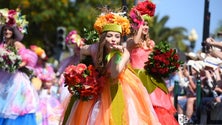 Imagem de Milhares assistem ao Cortejo da Flor no Funchal