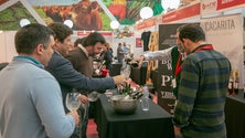 Imagem de Terminou mais uma edição do Wine in Azores – Terceira (Vídeo)