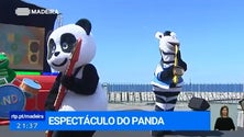 Imagem de Espetáculo do Panda leva muitas crianças à Ribeira Brava