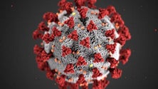 Imagem de Pandemia não obriga a mais medidas restritivas no Natal (Vídeo)