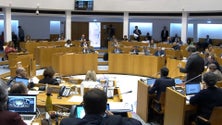 Imagem de Touradas à corda: Parlamento aprova substituição de pirotecnia por sinal sonoro