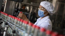 Imagem de Madeira fixa em 15% margem de lucro na venda de máscaras, álcool e gel