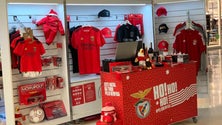 Escola do Benfica condicionada (vídeo)