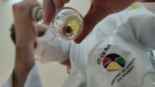 Imagem de Encontro de química dos alimentos na Madeira (vídeo)