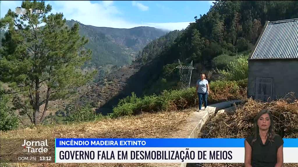 Está extinto o incêndio na Madeira