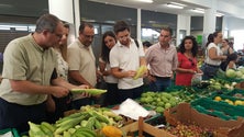 Imagem de CDS pede quotas para produtos regionais nas instituições públicas