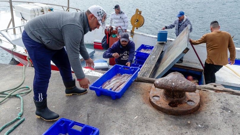 Imagem de Pescadores açorianos pedem ativação de Fundopesca