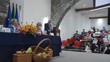 Imagem de Madeira vai ter um centro experimental de produtos agrícolas (áudio)