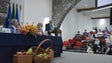 Imagem de Madeira vai ter um centro experimental de produtos agrícolas (áudio)