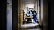 Imagem de 521 casos suspeitos aguardam análise laboratorial  (Vídeo)