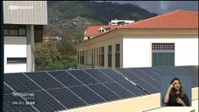 Imagem de Crise energética fez disparar as vendas de painéis fotovoltaicos (vídeo)