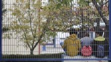 Imagem de Milhares de sites ensinam crianças a fingir doenças para faltar às aulas