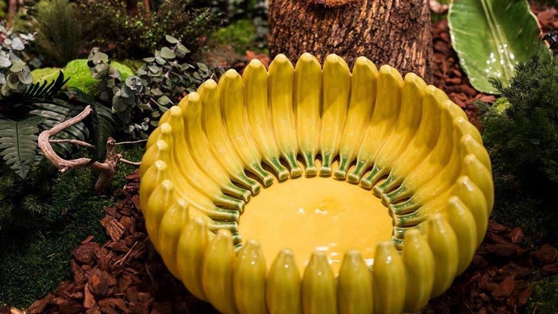 Imagem de Banana da Madeira integra exposição em Milão