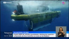Imagem de UMa deverá lecionar uma licenciatura na área do mar em 2024 (vídeo)
