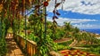 Imagem de Jardim Botânico bate recorde de entradas