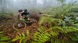 Imagem de Trans Madeira – Dia 2